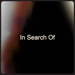 In search of a Large denim jacket